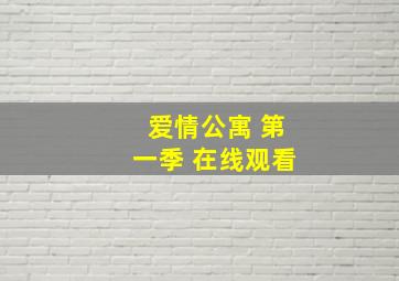 爱情公寓 第一季 在线观看